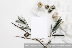 Blank greeting card, invitation mockup surrounded by quail eggs, silk ribbons, green olive tree branches and catkins 4djpA0