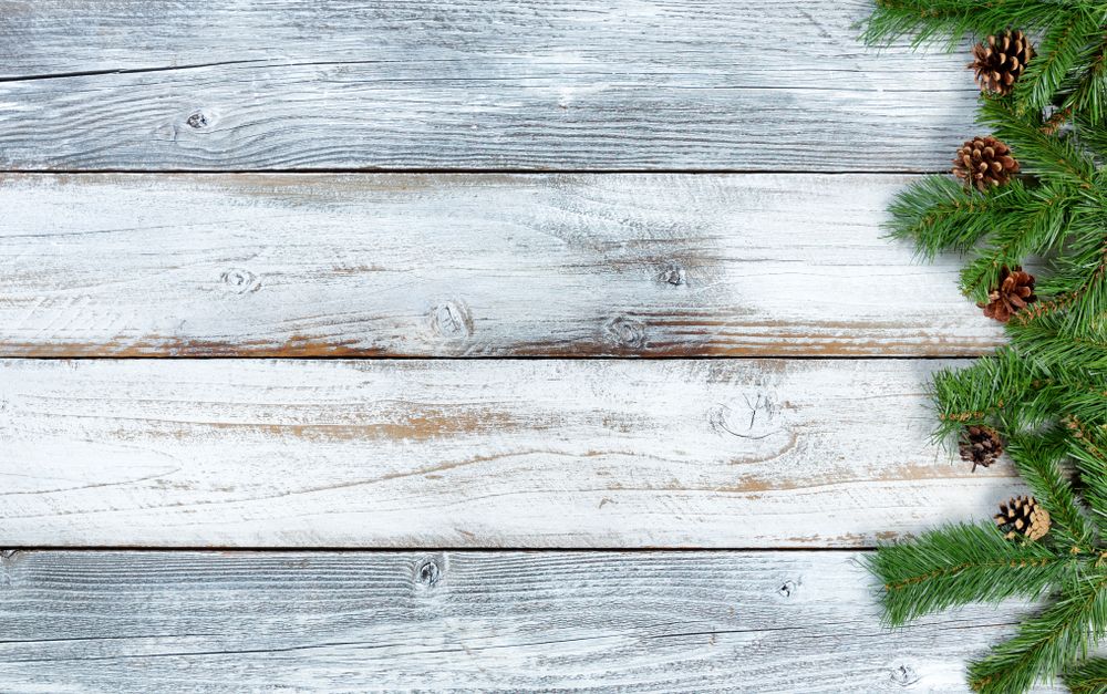 Christmas evergreen branches on rustic knotty wooden background