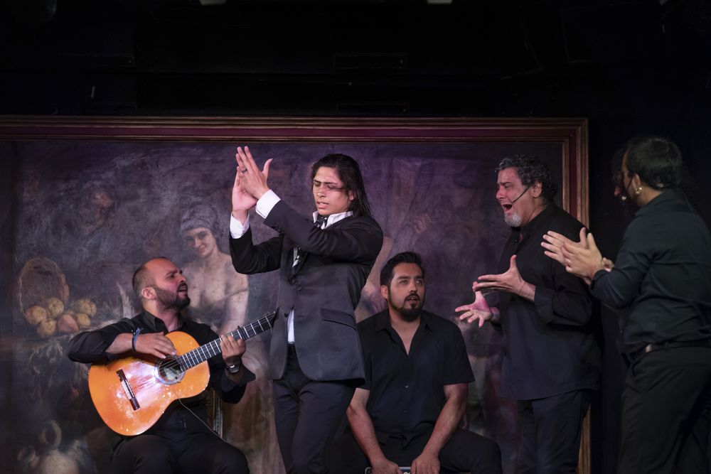 Flamenco performance on stage