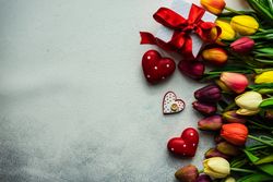Fresh tulips on grey background with dotted heart ornaments, present and copy space