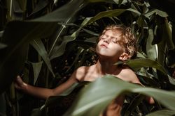 Calm child sunbathing among plants