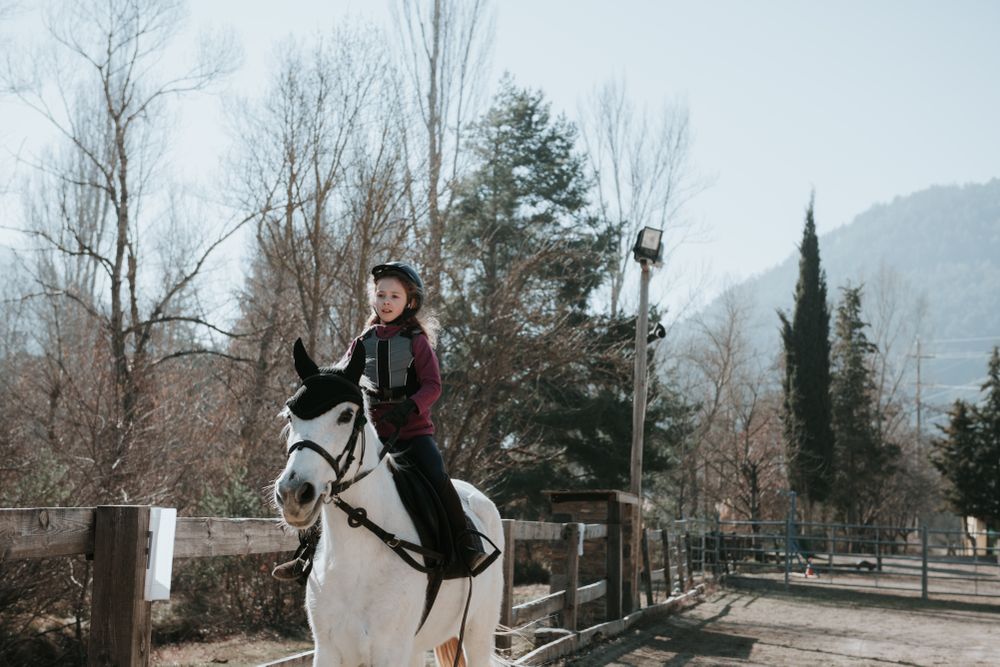 Little girl riding horse in enclosure