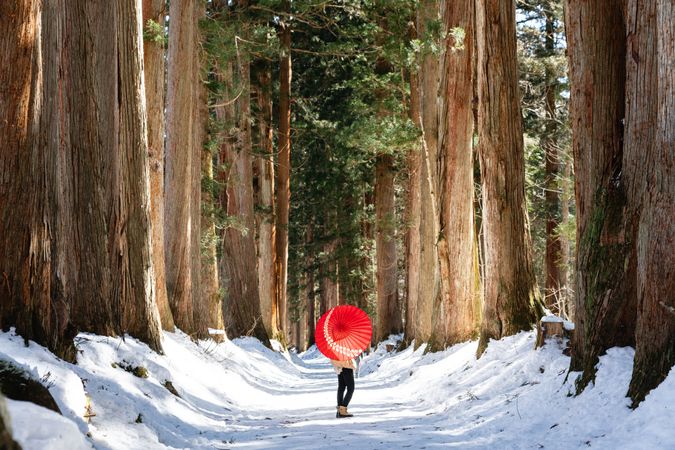 Back view of person holding a Japanese umbrella standing in snow covered woods