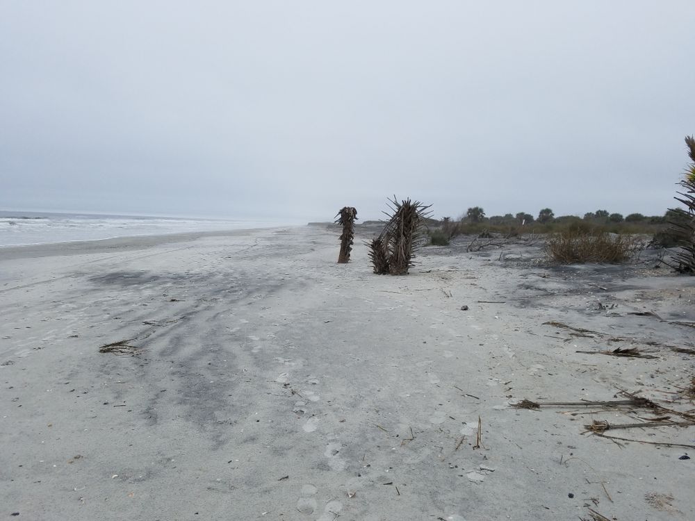 Empty beach after storm