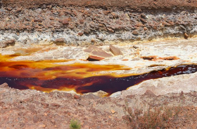 Bright orange splashes in nature