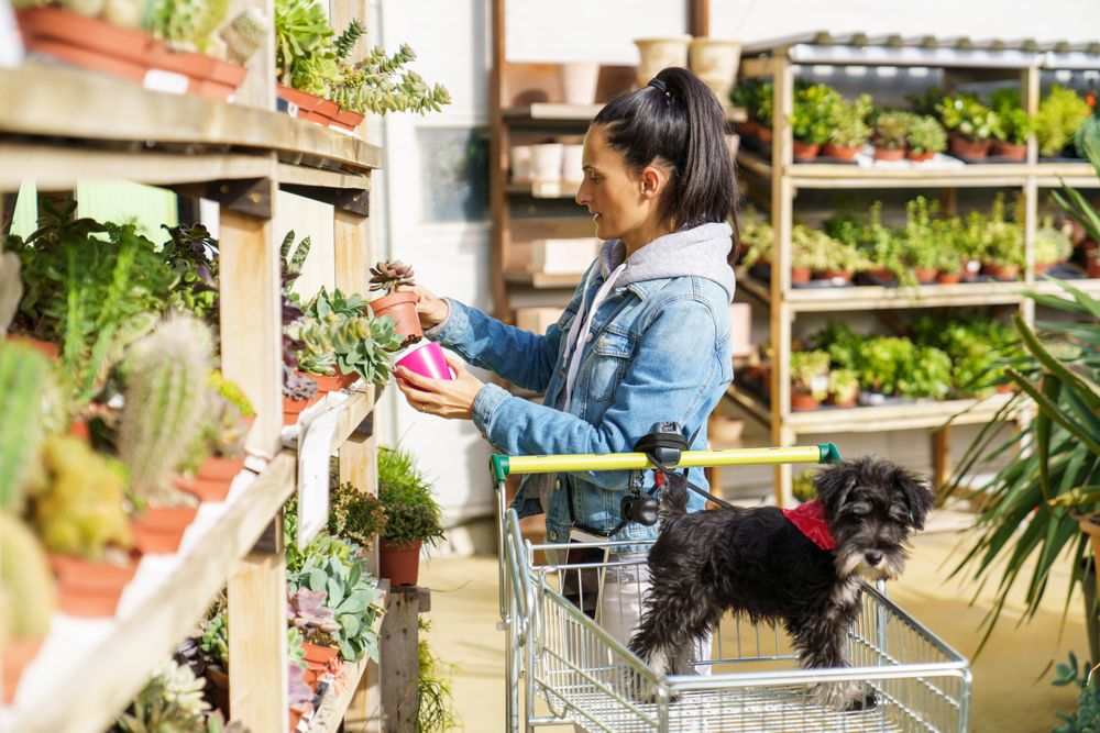 Female customer holding potted plants and dog in trolley