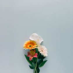 Flower bouquet of flowers on light background