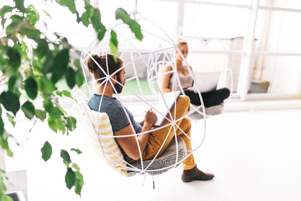 Two people working separately in a bright modern office with plant