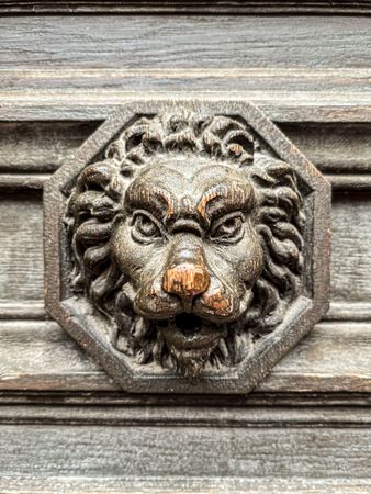 Carved wooden Lion's head