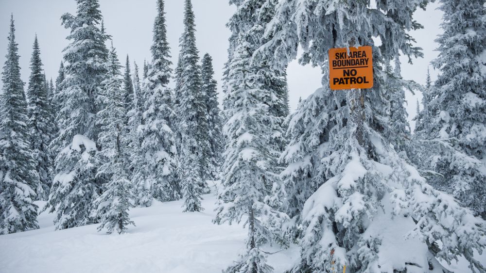 Sign with ski area boundary and fir trees in snow