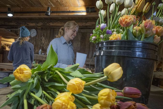 Copake, New York - May 19, 2022: Smiling woman working with tulips in bucket in shop