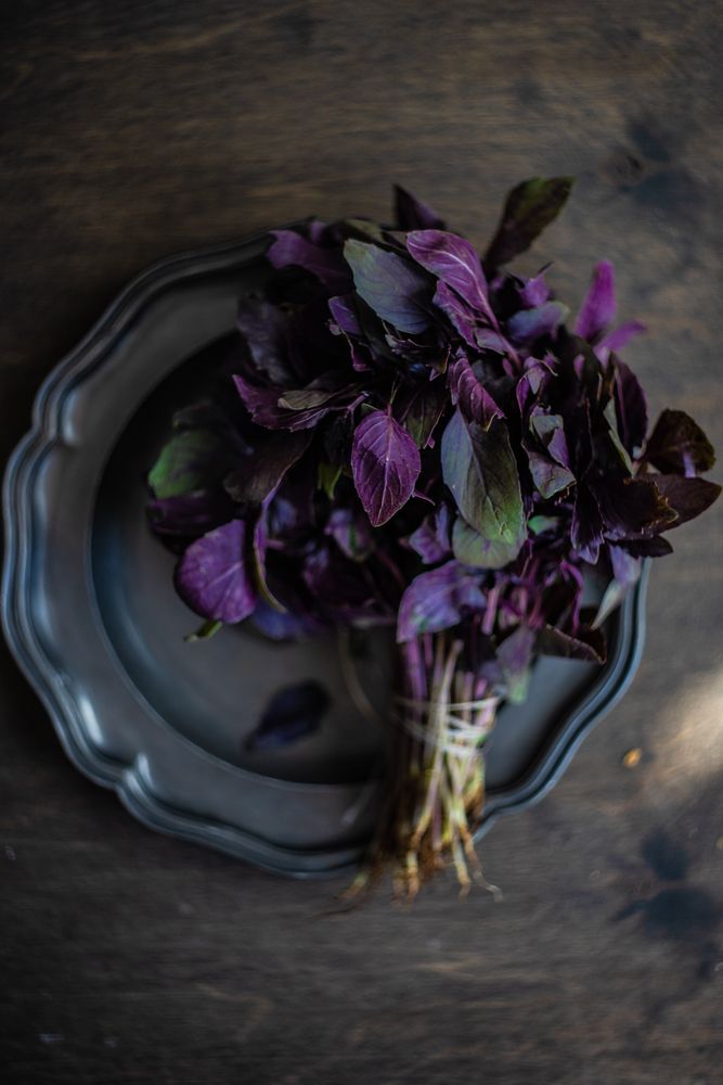 Healthy food concept with fresh purple basil on dark plate