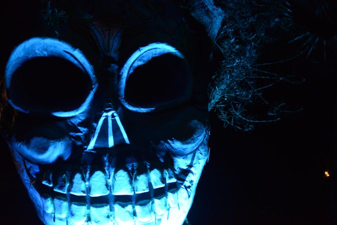 Close up of papier mache skull at night