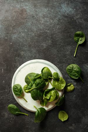 Fresh spinach on a rustic concrete crockery