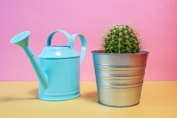 Watering can with cactus pot