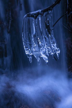Icicles on branch near waterfall
