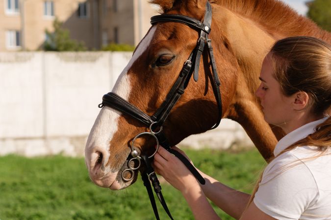 Woman attaching bridle to horse