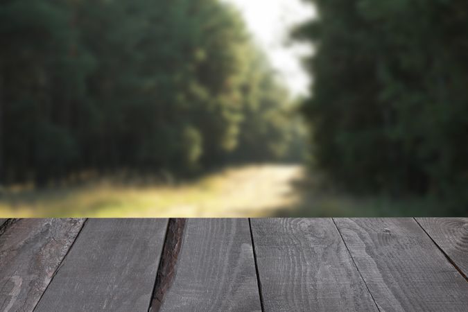 Wooden table against beautiful forest. Mockup. Sunny day