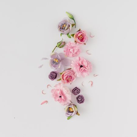 Pink and violet flowers on light background