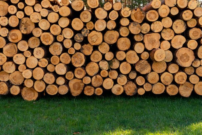 Pile of pine tree logs on a green pasture, near a german forest
