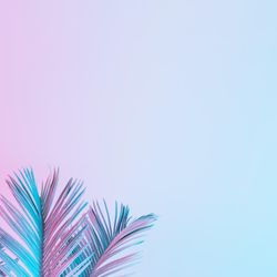 Tropical and palm leaves in vibrant bold gradient holographic colors
