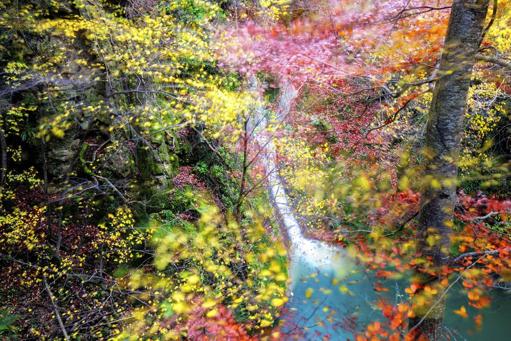 Multicolored woods above picturesque waterfall