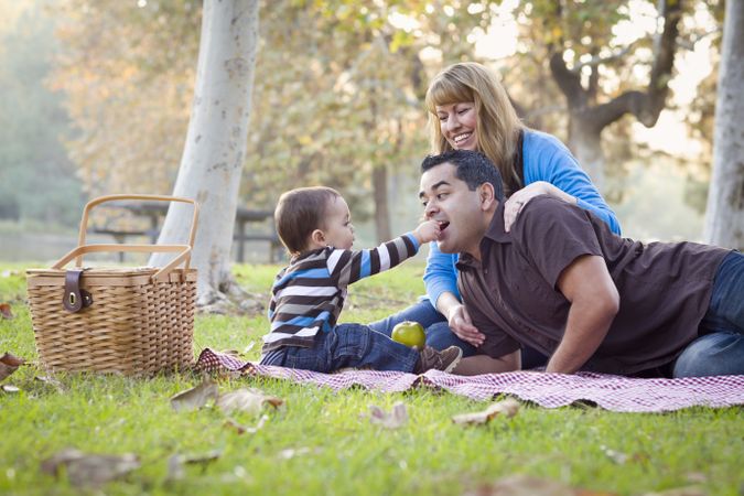 Family Having Picnic In The Park