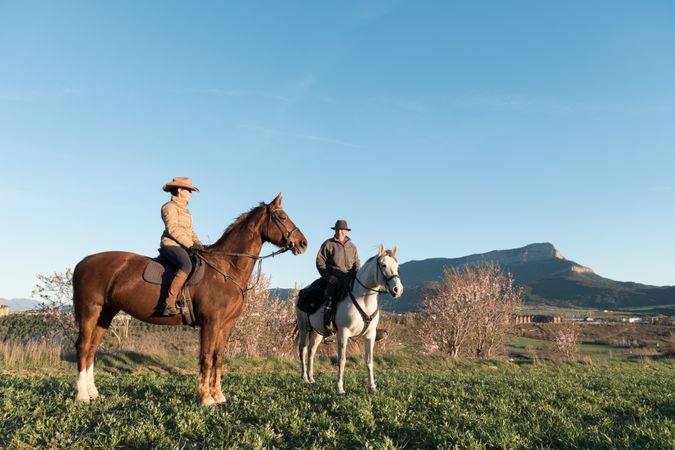 People on horses