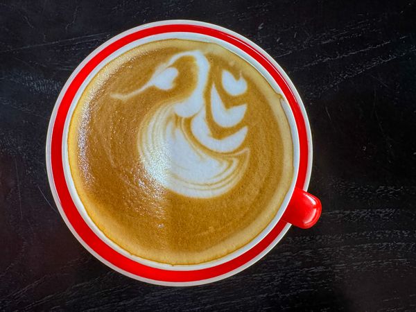 Cappuccino Flat Lay