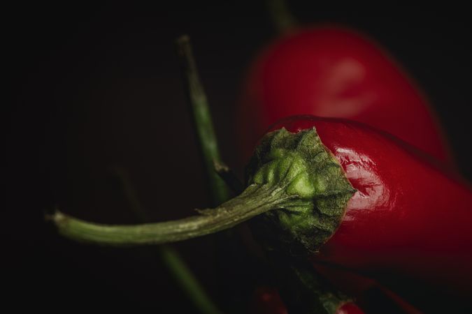 Fresh red and spicy chilli peppers