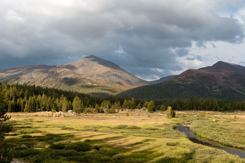 Sun-dappled meadow and mountains in Yosemite National Park