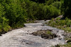 Flowing river with lush green vegetation