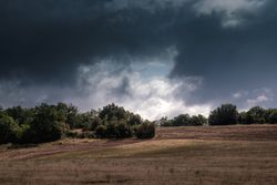 Dark clouds form on a nice day in a wheat field