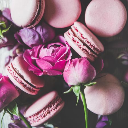 Close up of sweet pink macaron cookies and pink and purple flowers, square crop