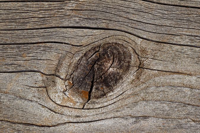 Texture of untreated weathered wood