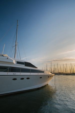 Luxury yachts in port at sunset