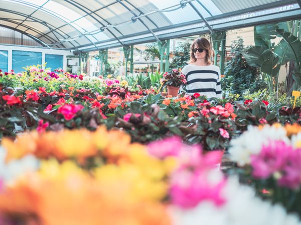 Female customer choosing flowers in greenhouse