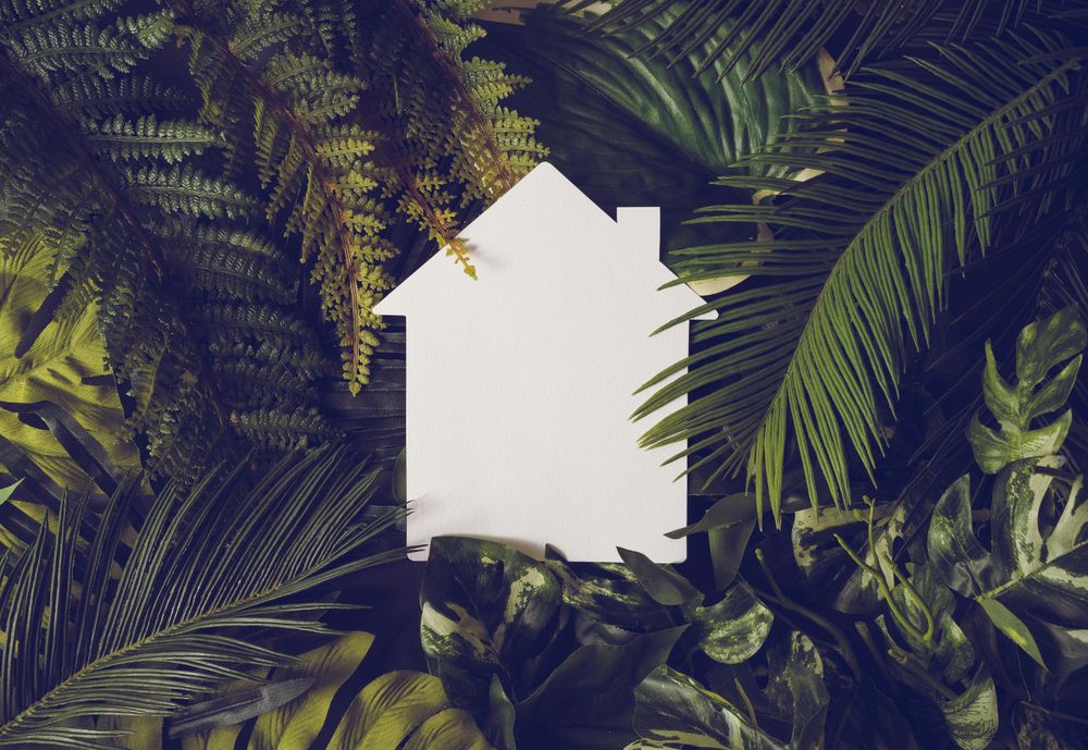 Light-colored home outline against foliage background