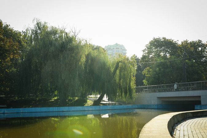 Beautiful city park with lake in bright sunny morning