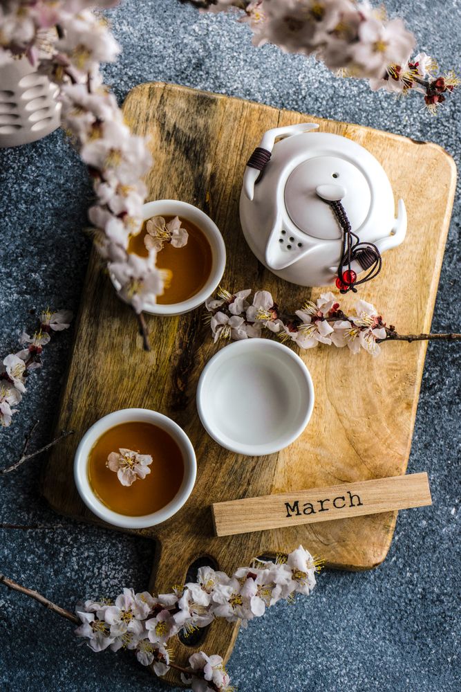 Spring floral concept with top view of apricot blossom surrounding tea set