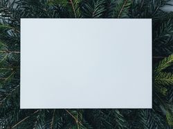 Pine tree branches with paper center
