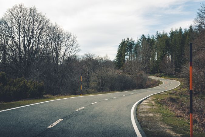 Empty road leading through leafless forest