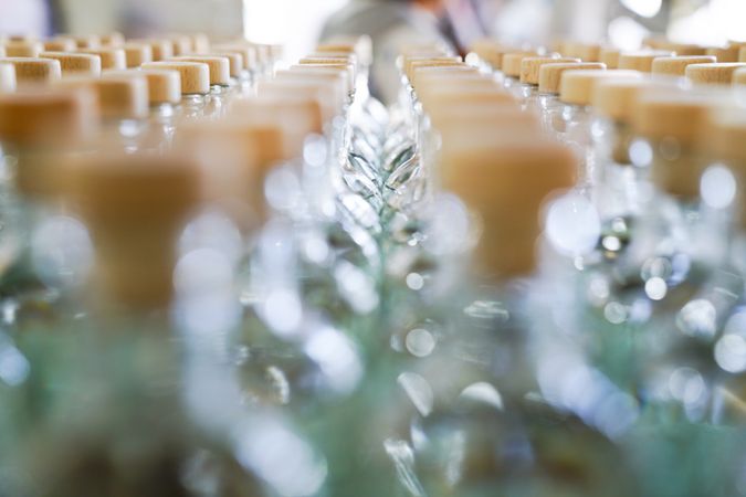 Rows of unopened glass bottles