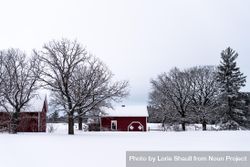 A wintry farm with red barn buildings 49R7Lb