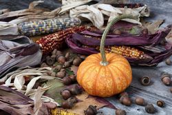 Perfect decorations for the autumn holiday seasons