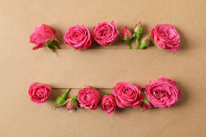 Beautiful red roses on craft background, space for text