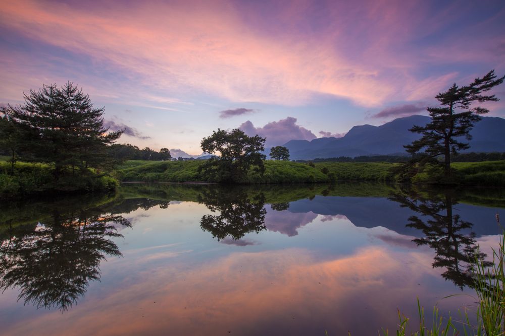 Green trees beside lake under pink sky with reflection on water
