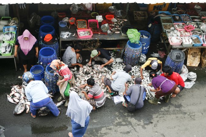 People sorting fish in Indonesian street market