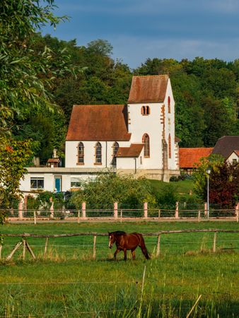 A horse on a green meadow against the  village church.