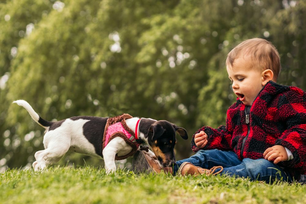 cute baby playing with a dog in a park